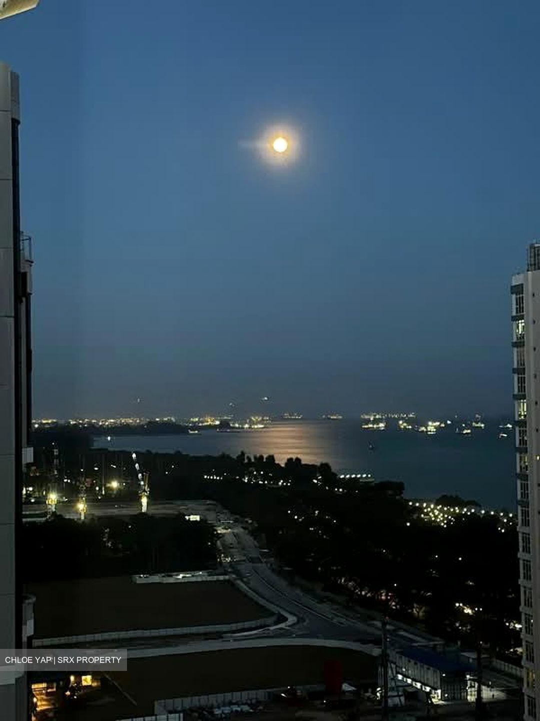 The Bayshore (D16), Condominium #548019651